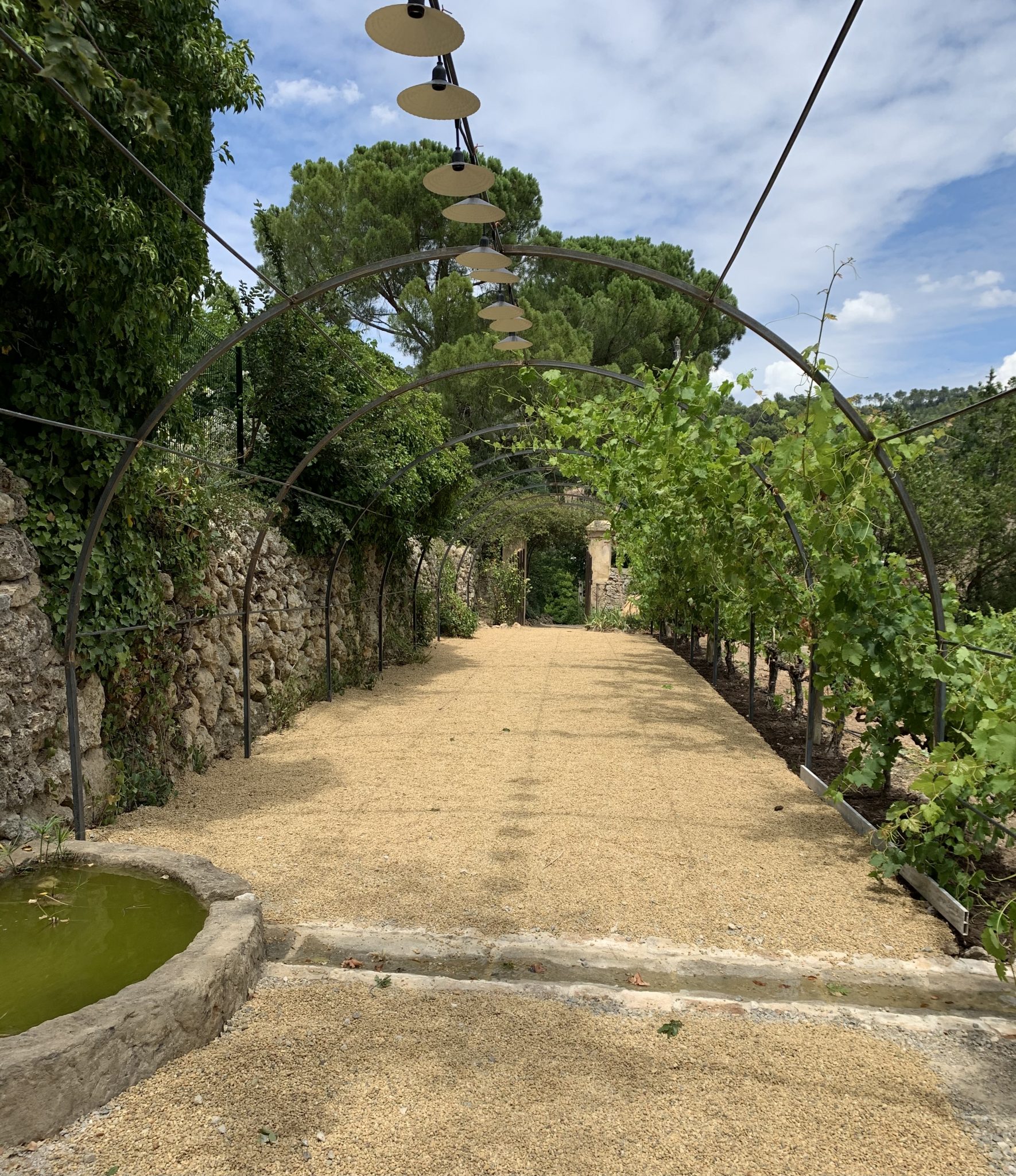Cotignac. « Le Jardin Secret » : Benoît Witz, le provençal – Table libre